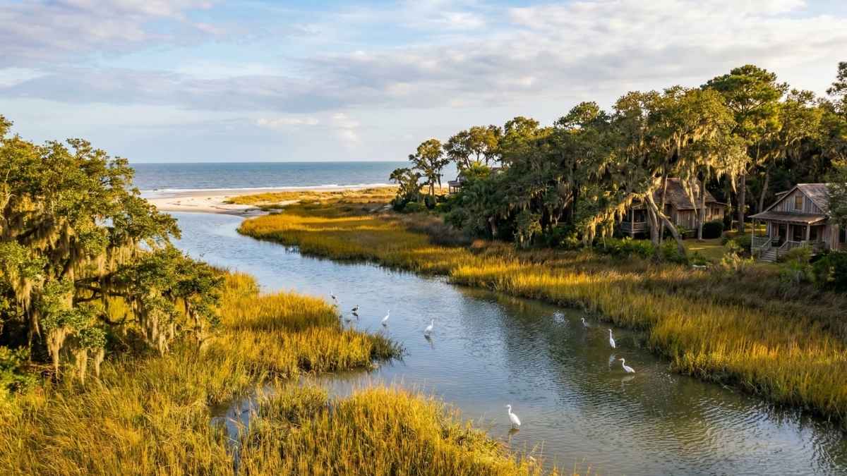 Little St. Simons Island, Georgia