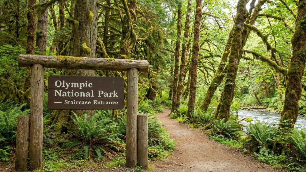 Olympic National Park — Staircase Entrance
