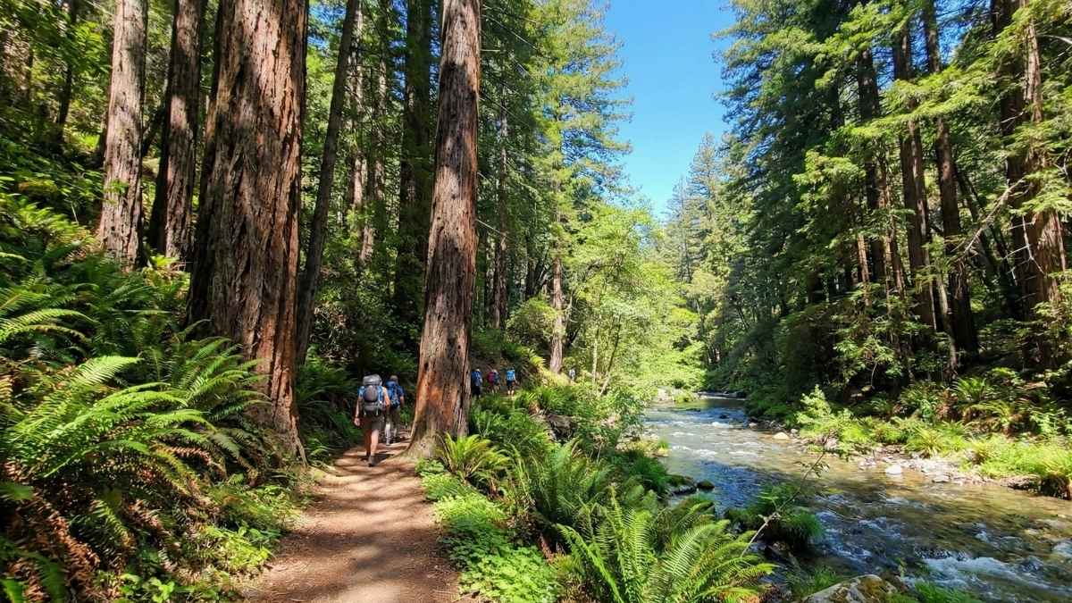 Sykes Hot Springs Trail, California