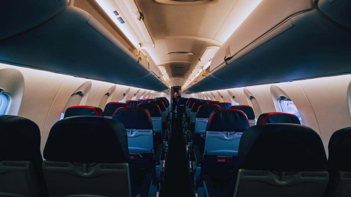 The Cargo Hold’s Quiet Passengers