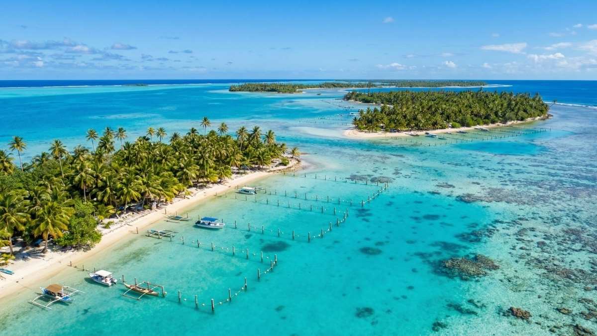 Tropical Reef-Front Lease Plots (Low-Profile Pacific Islands)