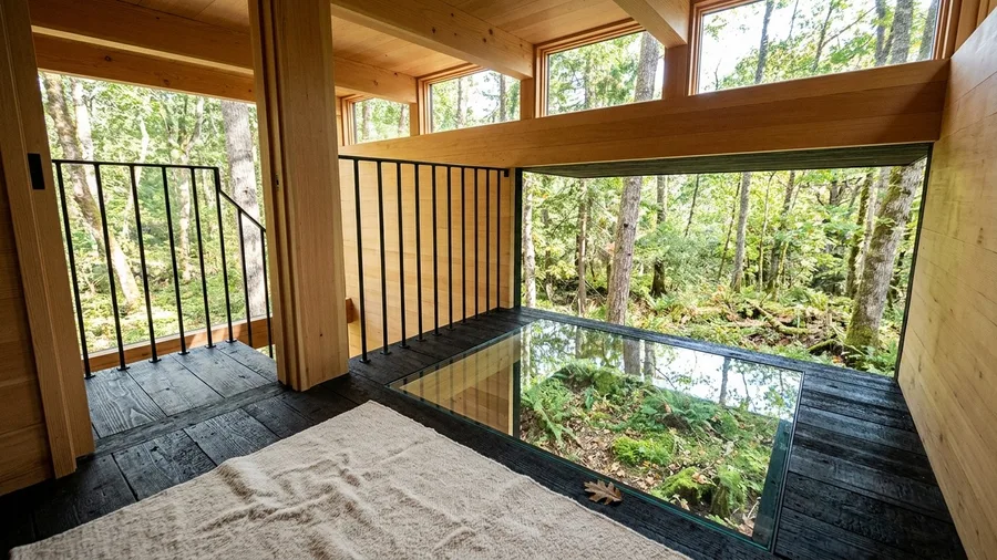 The Elevated Treehouse Studio With Floor Windows
