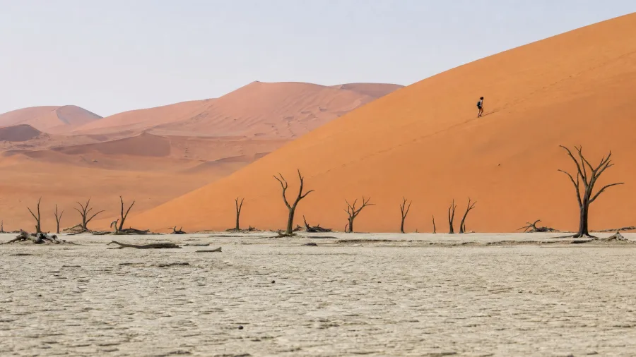 Climb Namib Desert Ancient Sand Dunes