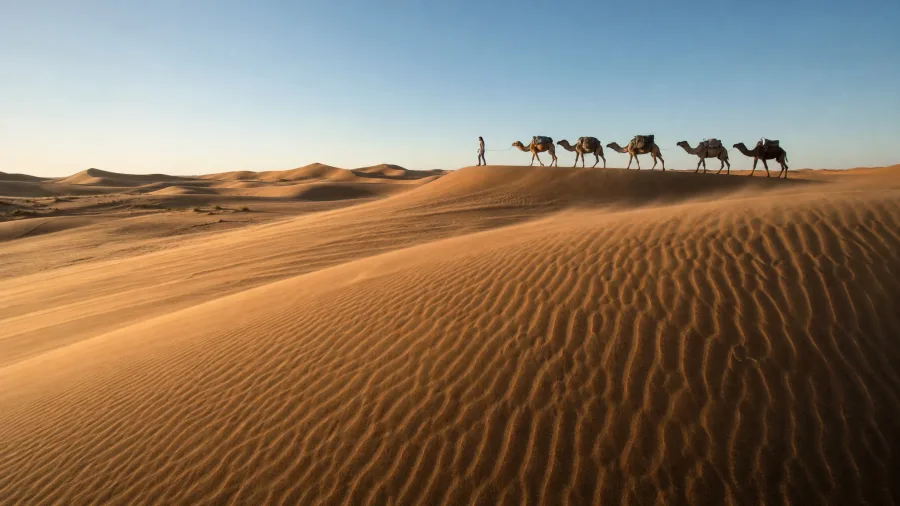 Trek Sahara Desert Sand Seas