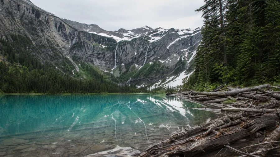 Avalanche Lake Trail, Glacier National Park