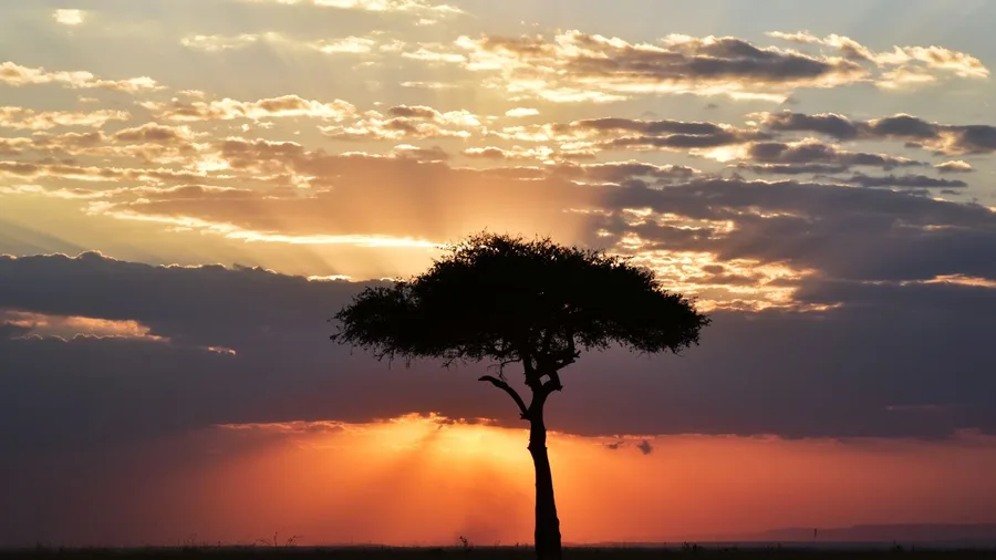 Serengeti, Tanzania: Plains at Sundowner Hour