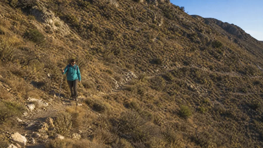 Zigzagging a Steep Pitch Costs Far Less Energy Than Going Straight