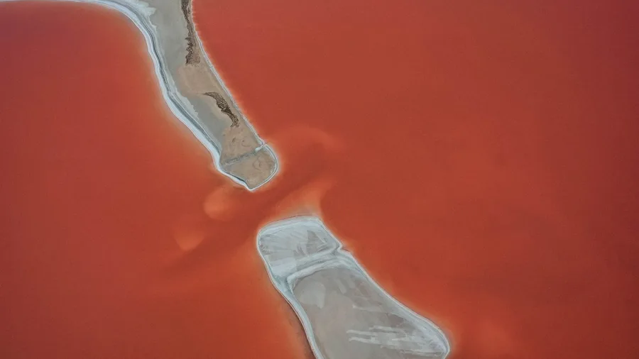 Lake Natron turns ordinary wildlife into mineral statues