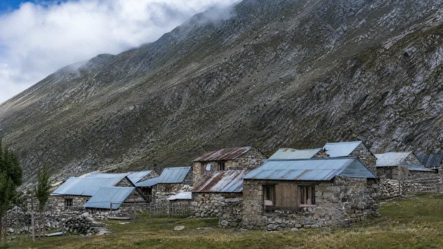 A Single Settlement Houses the Entire Population