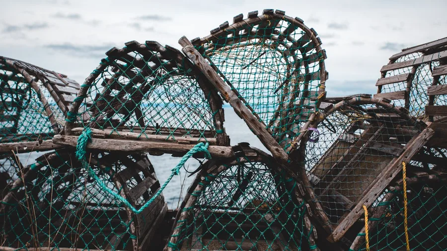 Lobster Fishing Drives the Local Economy