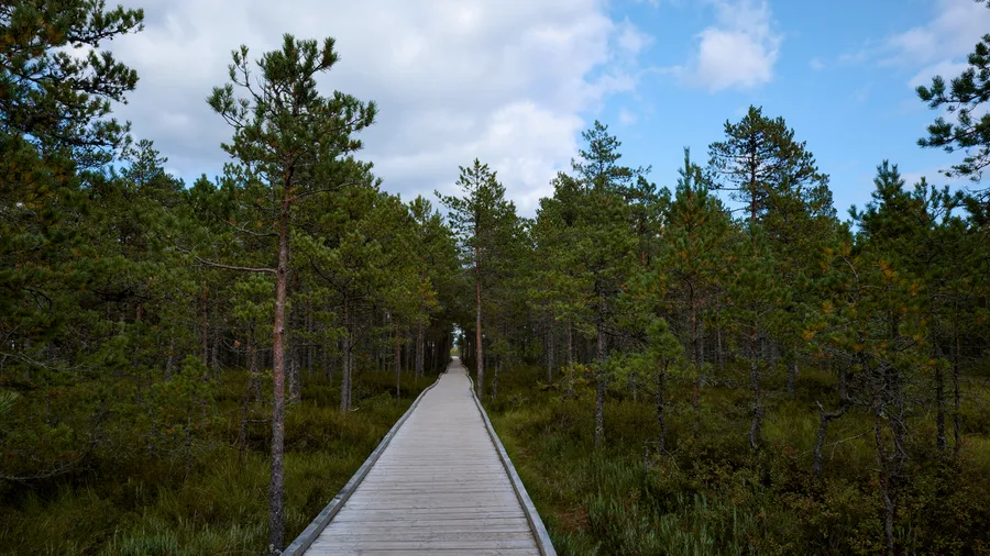 Deep connection with nature dictates the rhythm of life