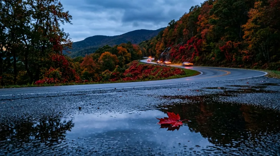 Drive Skyline Drive in Virginia