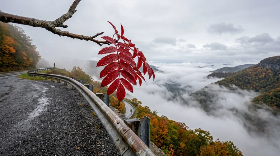 Drive the Cherohala Skyway Early