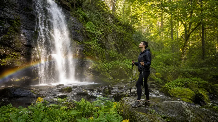 Rainbow Falls Trail, Great Smoky Mountains