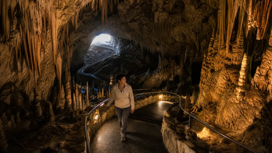Natural Entrance Trail, Carlsbad Caverns National Park