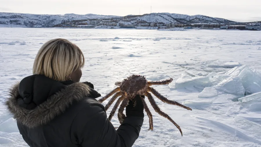 Visit Kirkenes, Norway