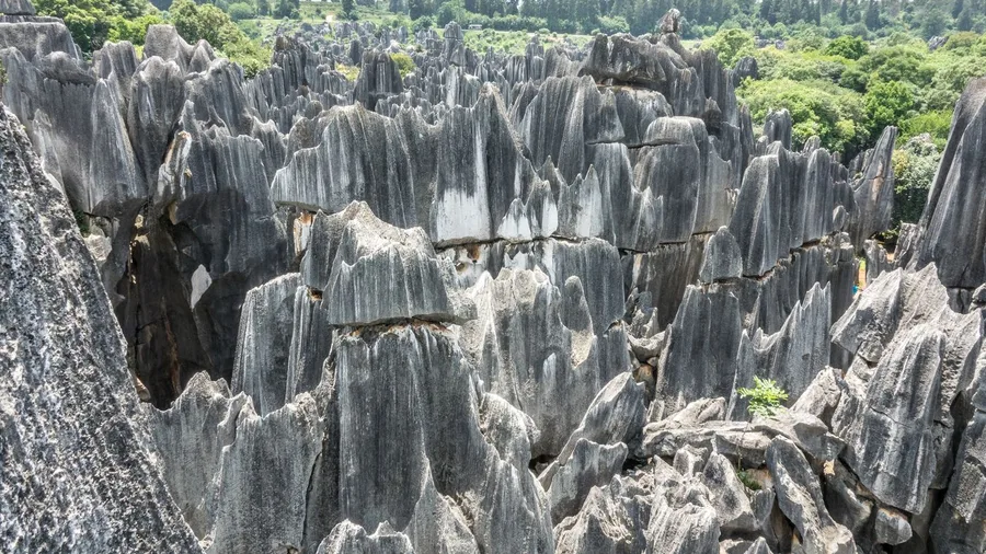 Wander the Stone Forest of Shilin