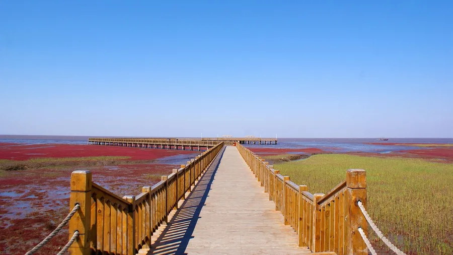 Photograph the Red Beach of Panjin