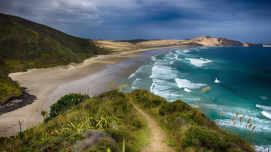 New Zealand Adds a Conservation Levy to Every Arrival