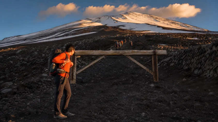 Japan Has Stopped Asking Nicely and Started Building Barriers