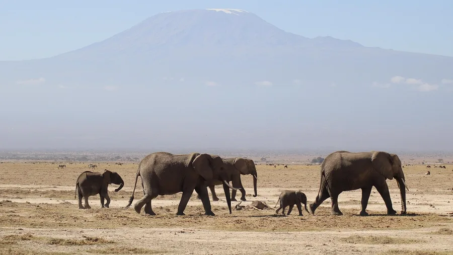 Kenya: Now Visa-Free for All Visitors