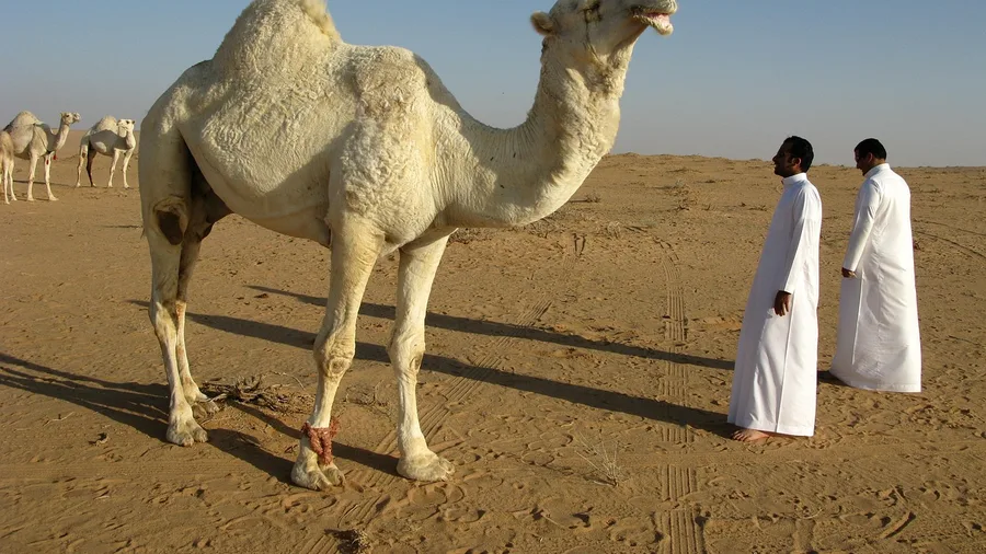 Saudi Arabia: Entry Rules Changed More Than Once
