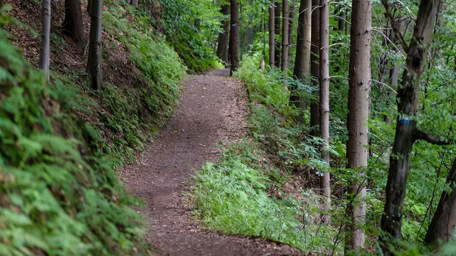Solo at 70, Stick to Maintained Trails